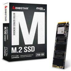 მყარი დისკი Biostar 256GB M2 (M700256GB)